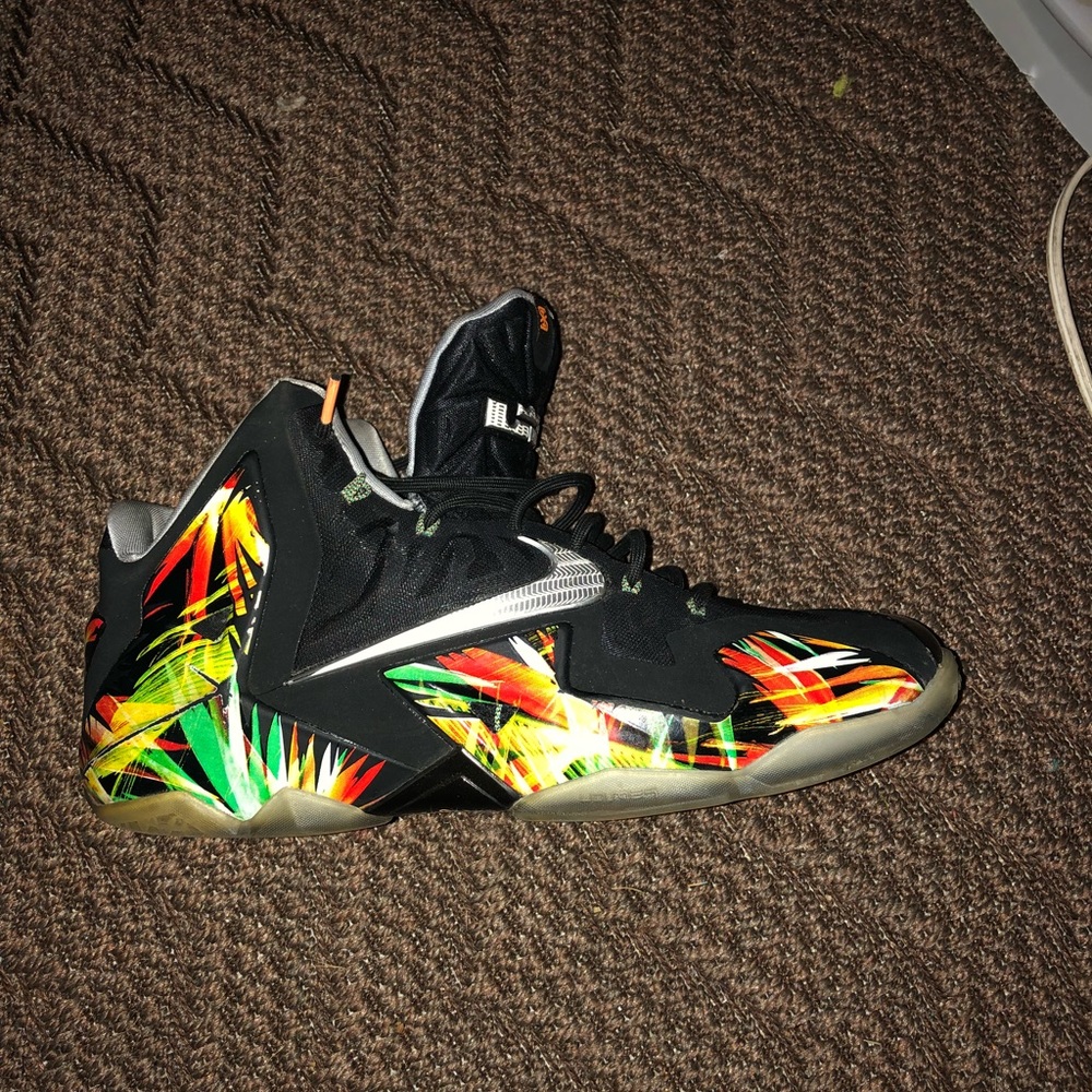 LeBron 11 "Evergladea" size 11.5 worn not  beat